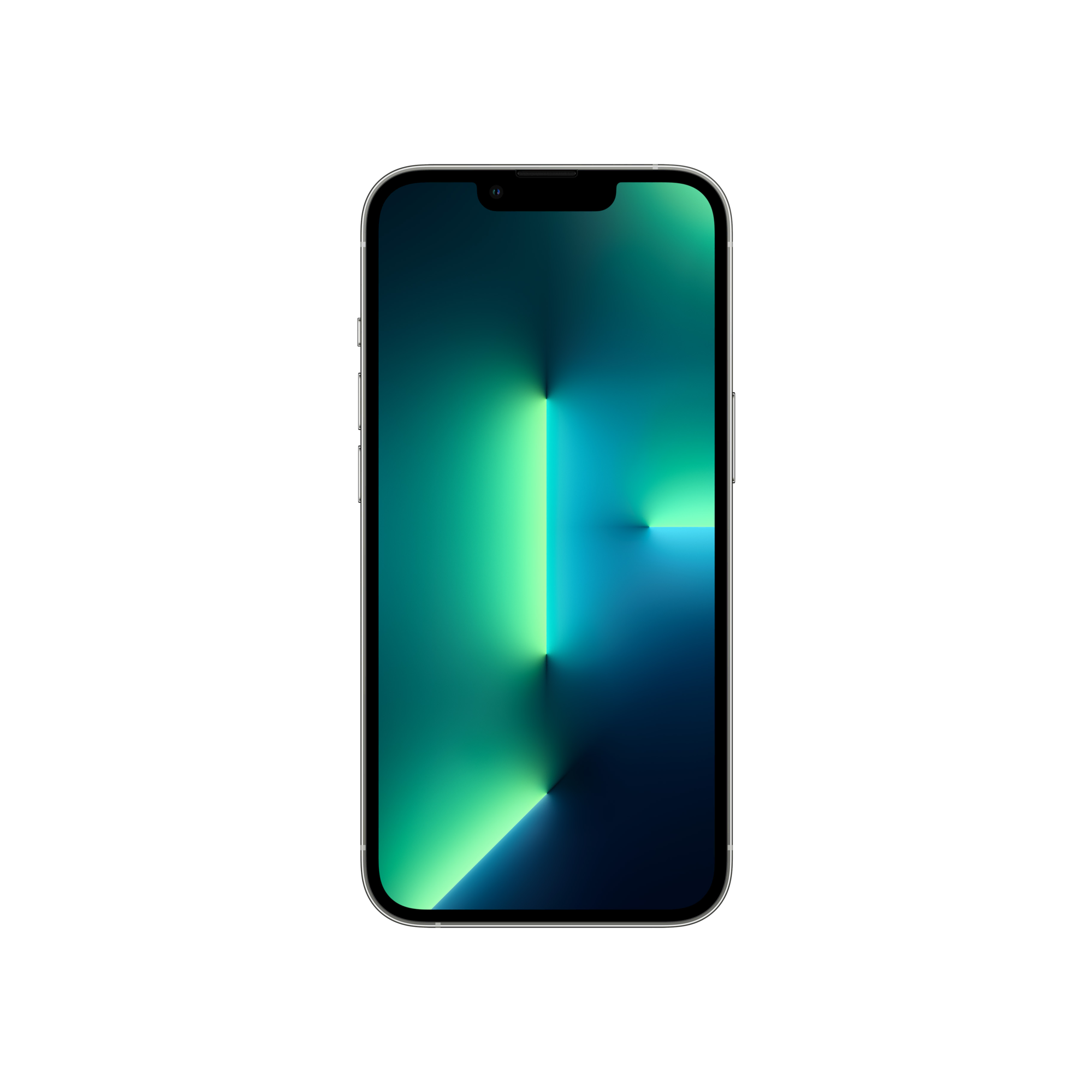 iPhone 13 Pro 1TB Gümüş iPhone Telefon Modelleri