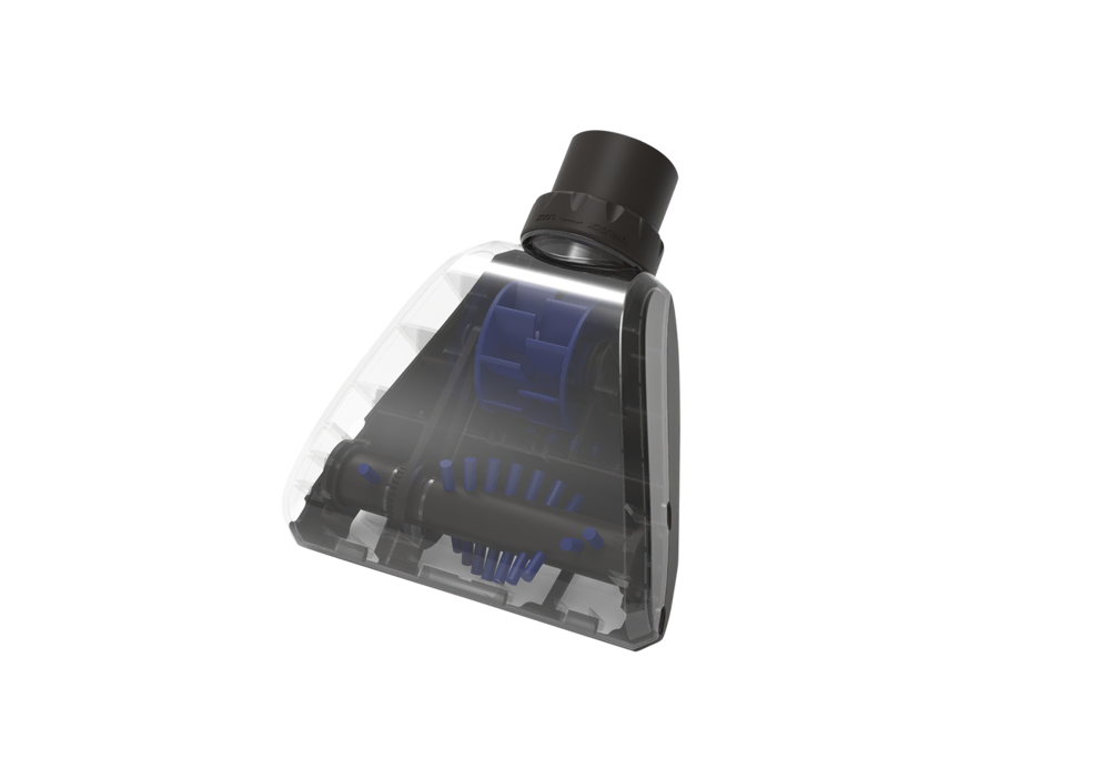 Evcil hayvan kiti Kitler