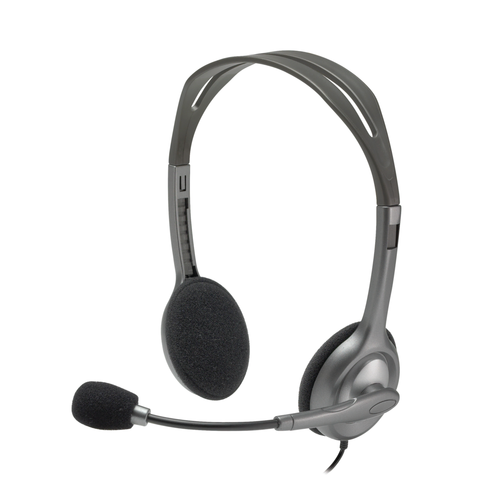 Logitech H110 Kulaklık 