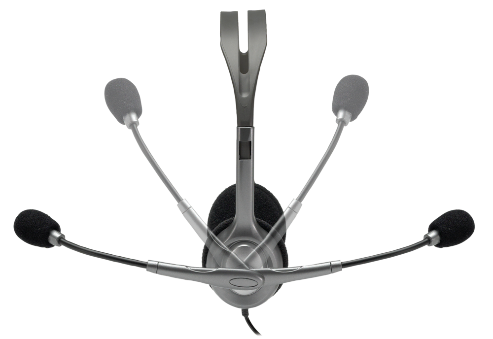 Logitech H110 Kulaklık 