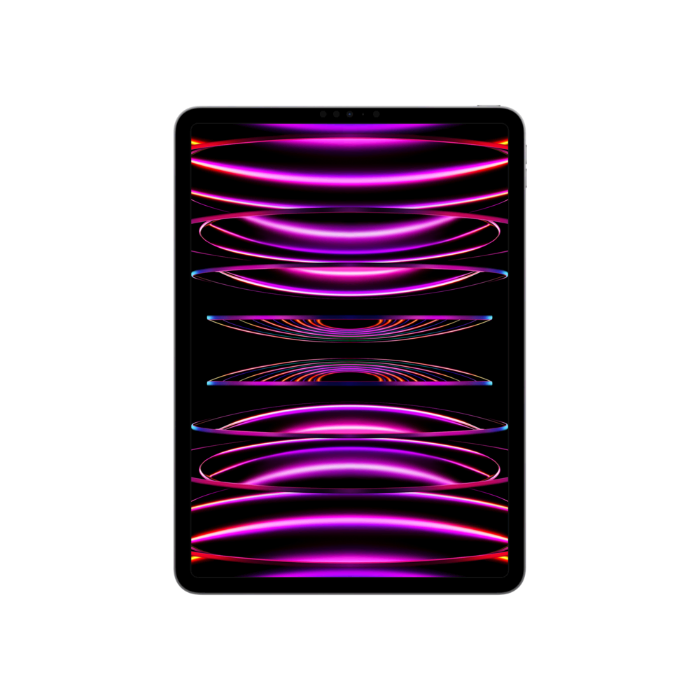 iPad Pro 11 (2022) WF 512GB Uzay Grisi Tablet