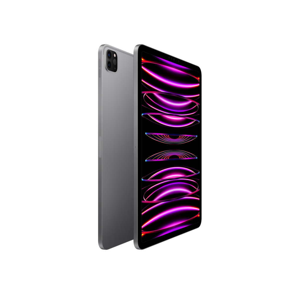 iPad Pro 11 (2022) WF 1TB Uzay Grisi Tablet