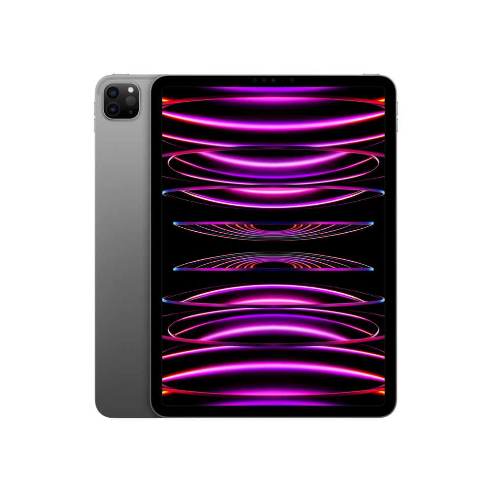 iPad Pro 11 (2022) WF 1TB Uzay Grisi Tablet