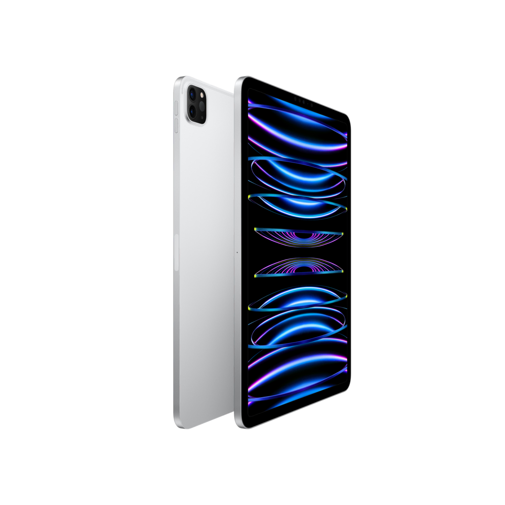 iPad Pro 11 (2022) WF 2TB Gümüş Tablet