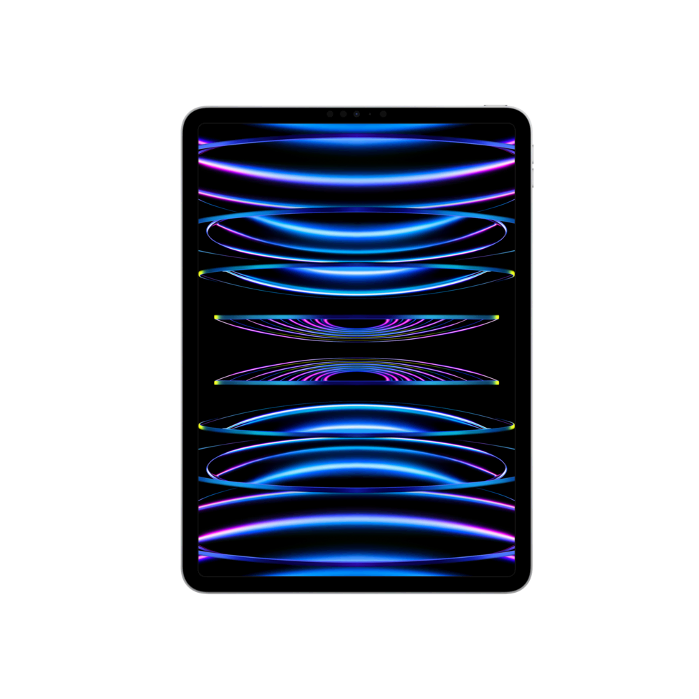 iPad Pro 11 (2022) WF-CL 2TB Gümüş Tablet