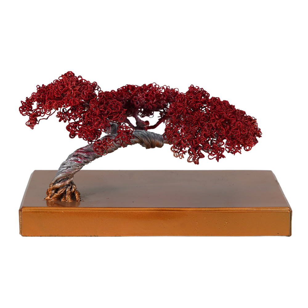 RÜYA II İz Bırak Ürünleri