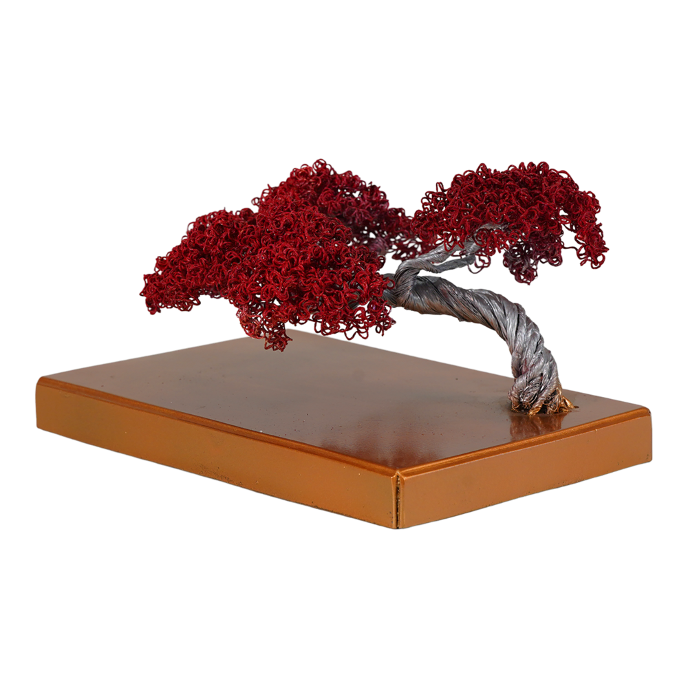 RÜYA II İz Bırak Ürünleri