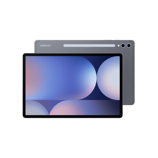 Samsung Galaxy Tab S10 Plus 256GB Gri Tablet