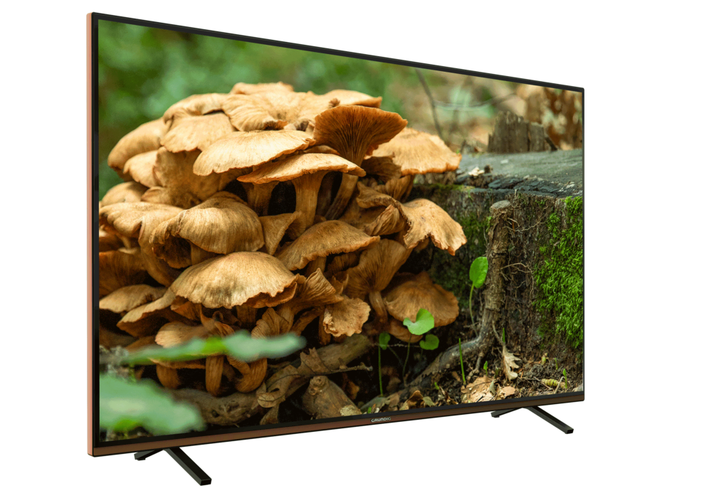 GRUNDIG PARIS 49 CLX 8675 BP Grundig TV