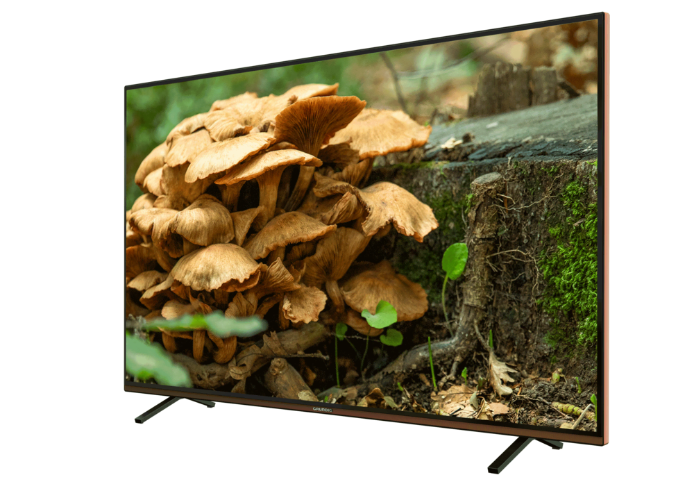 GRUNDIG PARIS 49 CLX 8675 BP Grundig TV