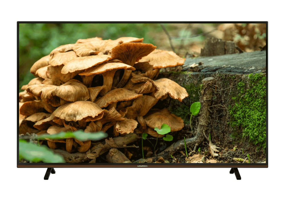 GRUNDIG PARIS 55 CLX 8675 BP Grundig TV