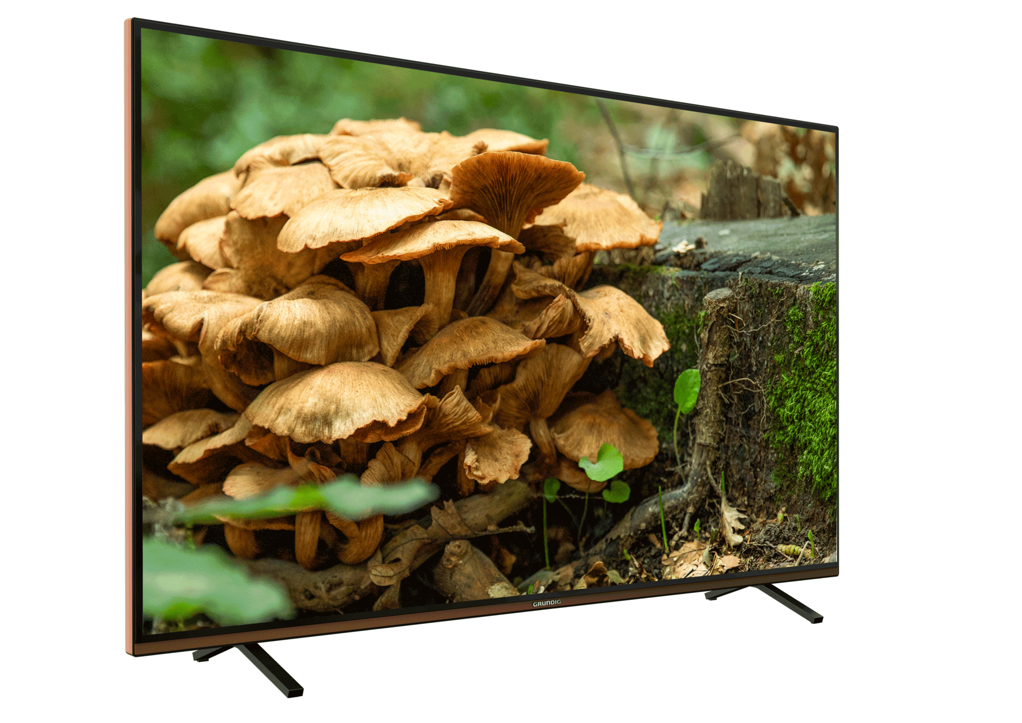GRUNDIG PARIS 55 CLX 8675 BP Grundig TV