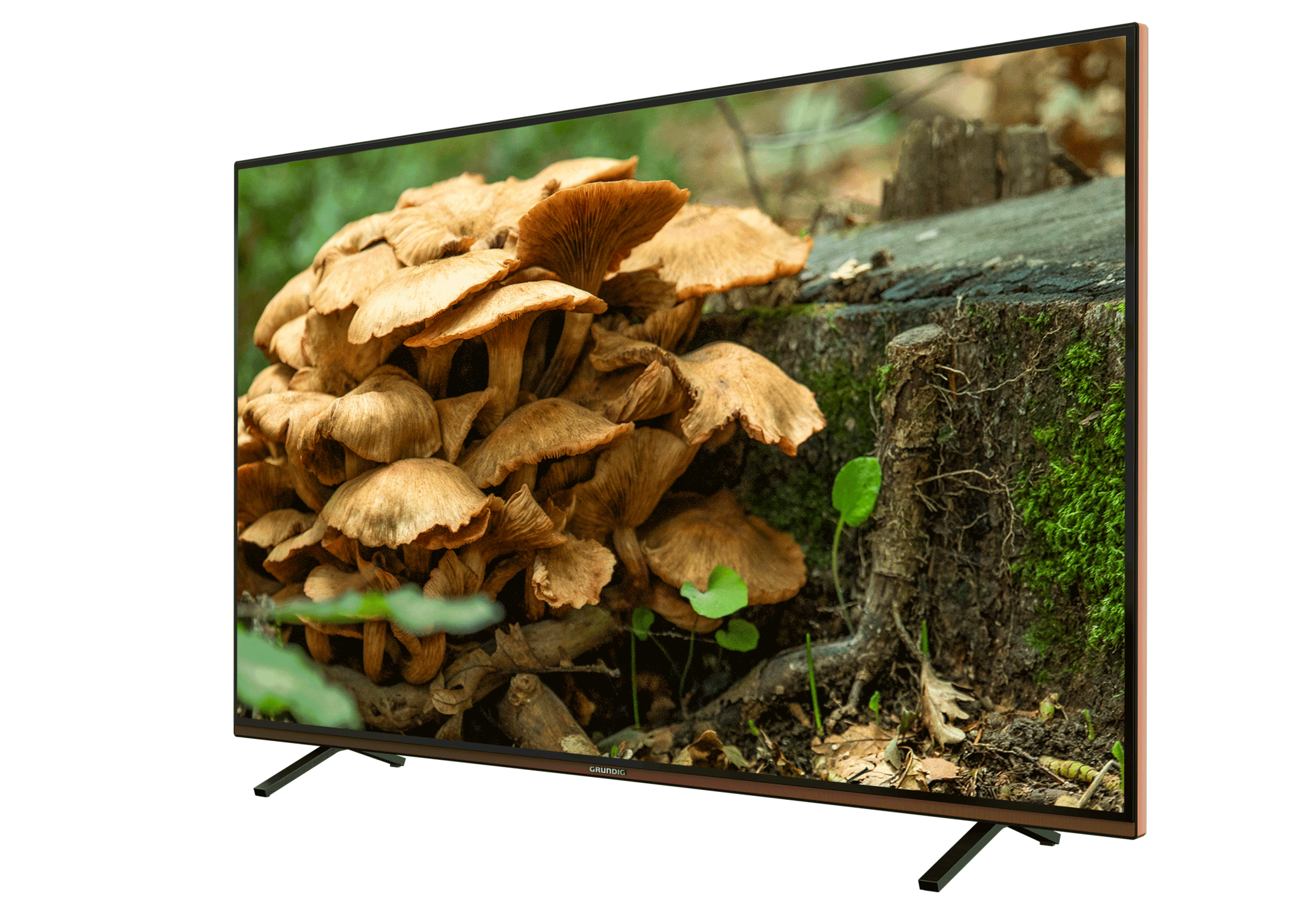 GRUNDIG PARIS 55 CLX 8675 BP Grundig TV