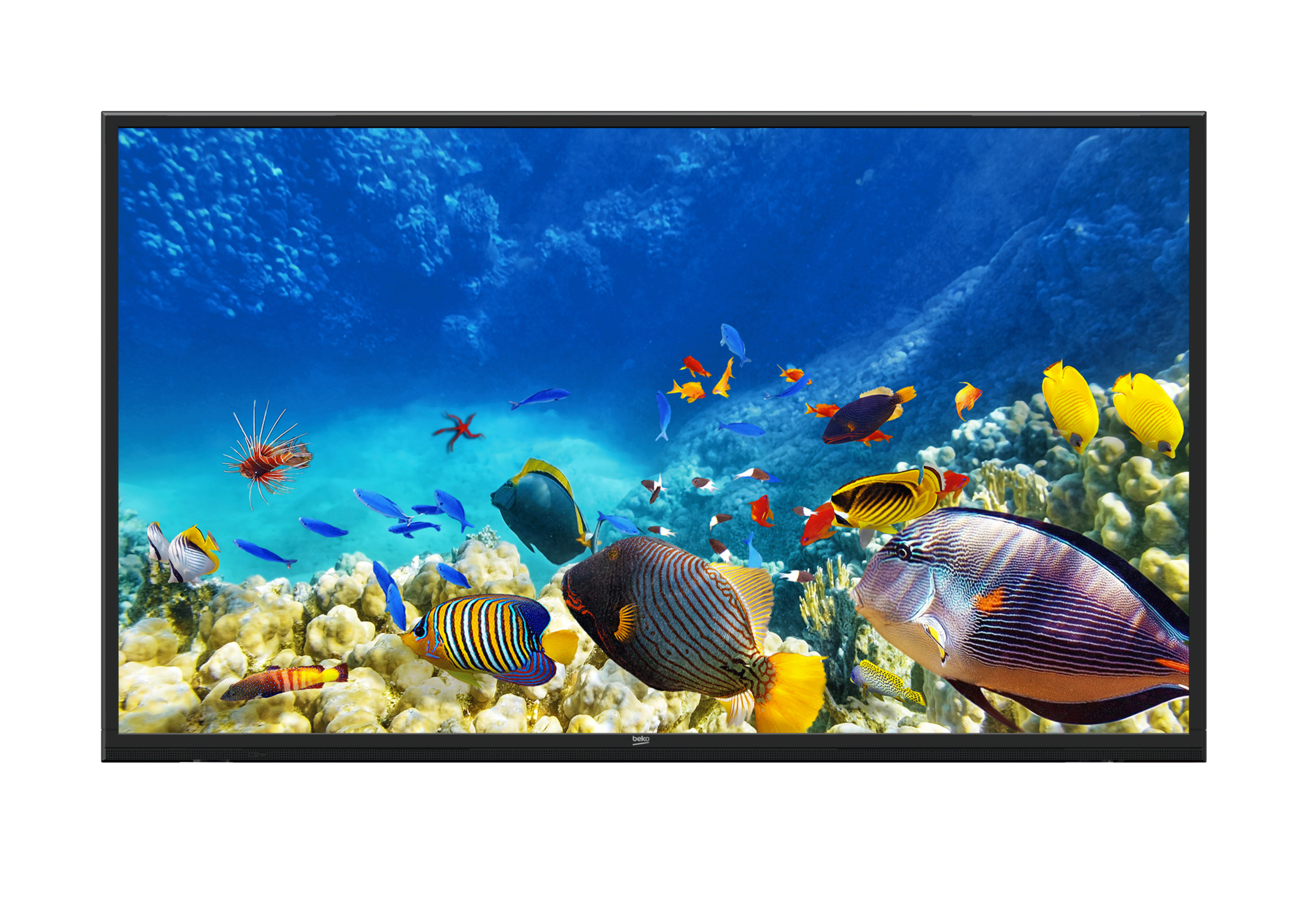 B65K 780G HOTEL TV Smart TV
