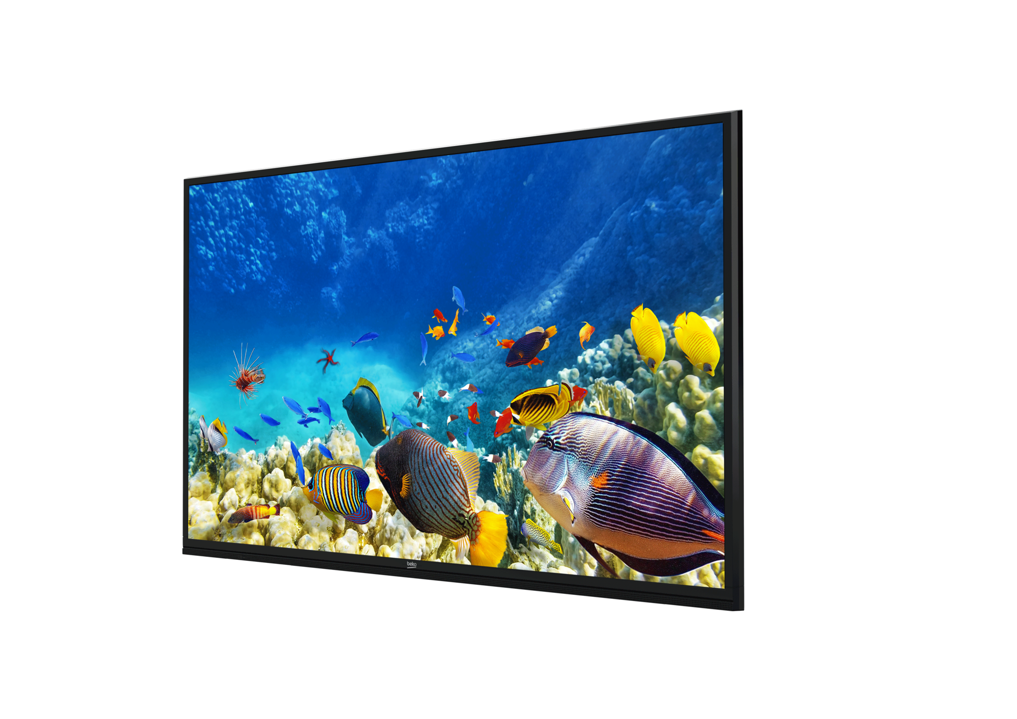 B65K 780G HOTEL TV Smart TV