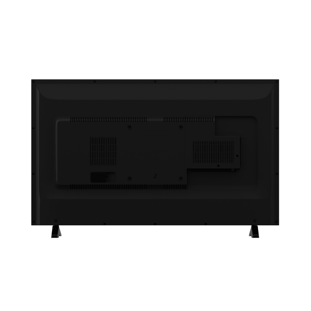 B49L 7950 5B / 4K Non-Smart 49