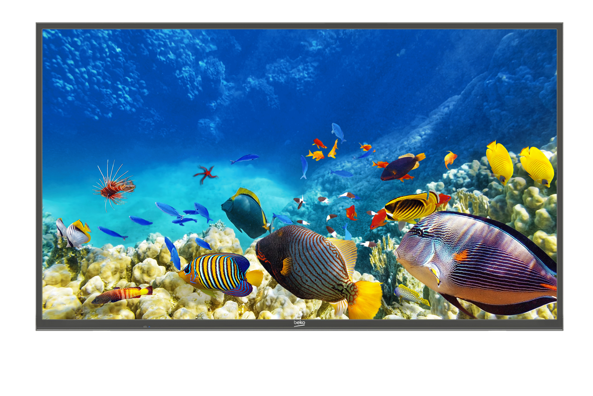 B55K 785 HOTEL TV Smart TV