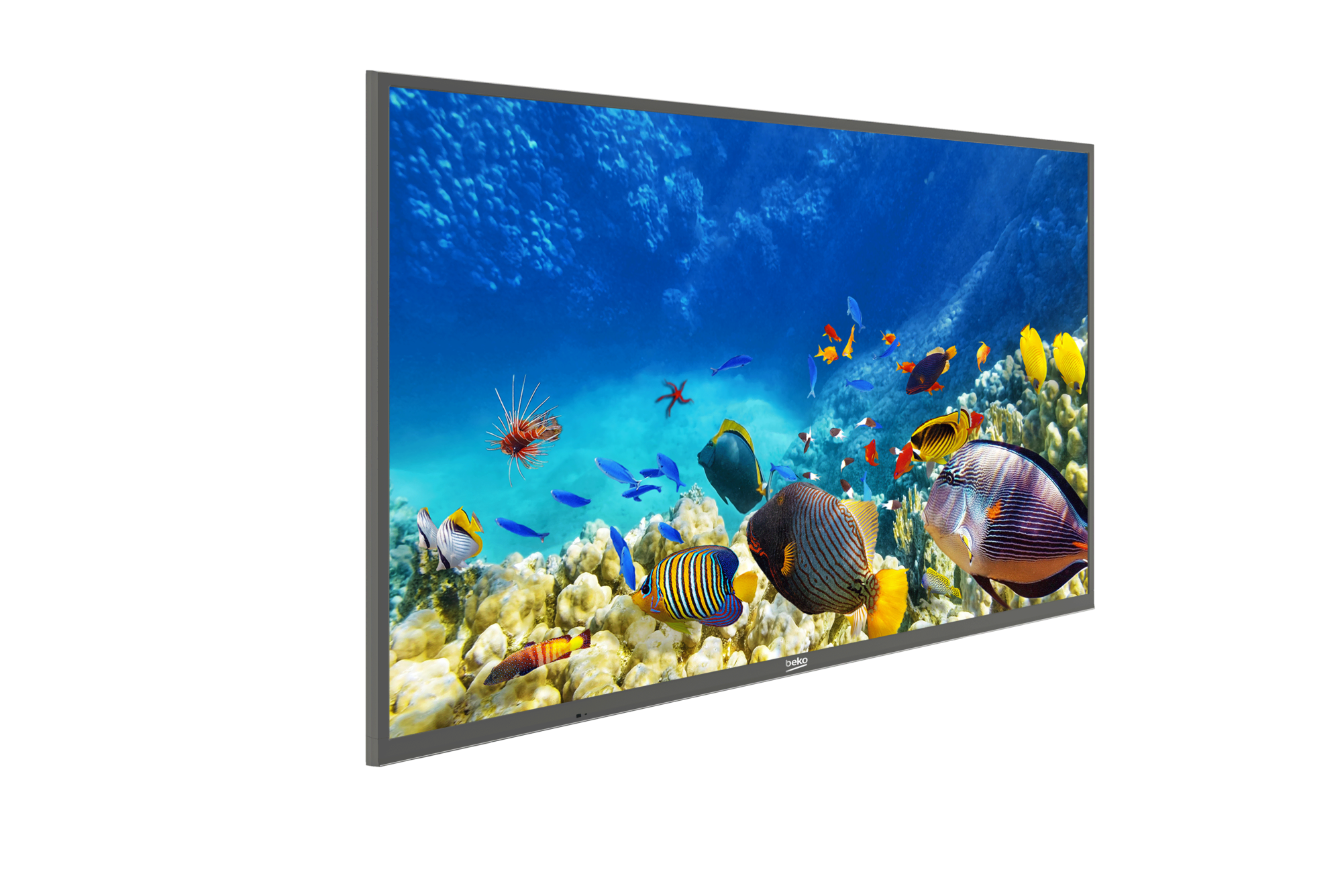 B55K 785 HOTEL TV Smart TV