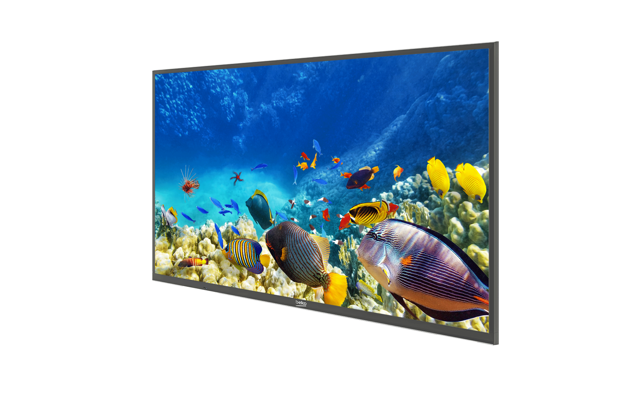 B55K 785 HOTEL TV Smart TV