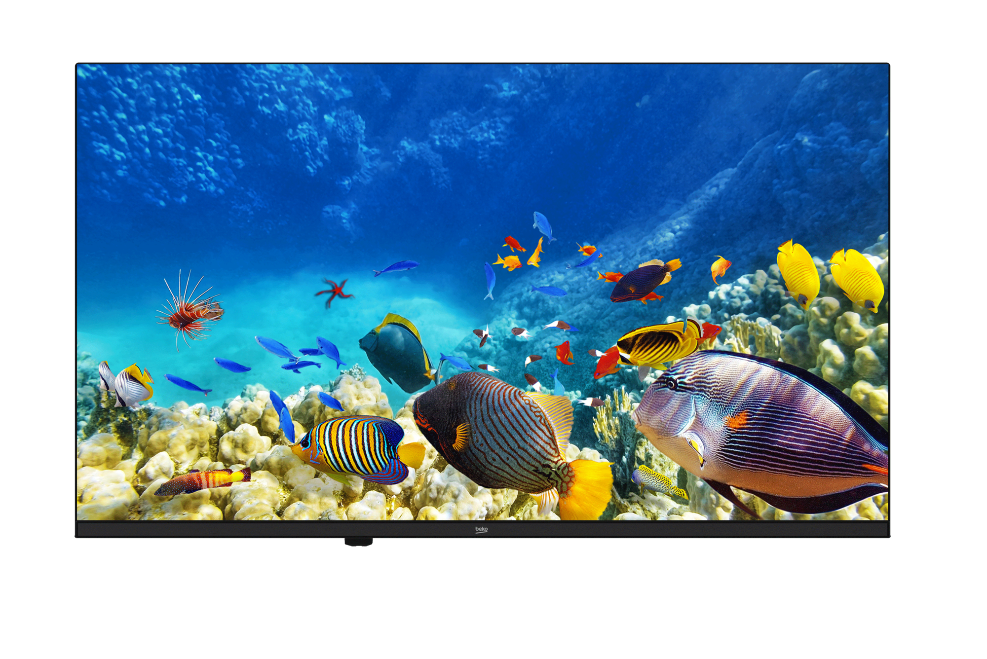 B32K 590G HOTEL TV Full HD& HD TV