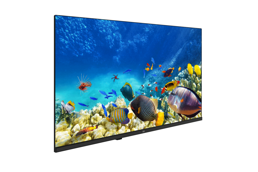 B32K 590G HOTEL TV Full HD& HD TV