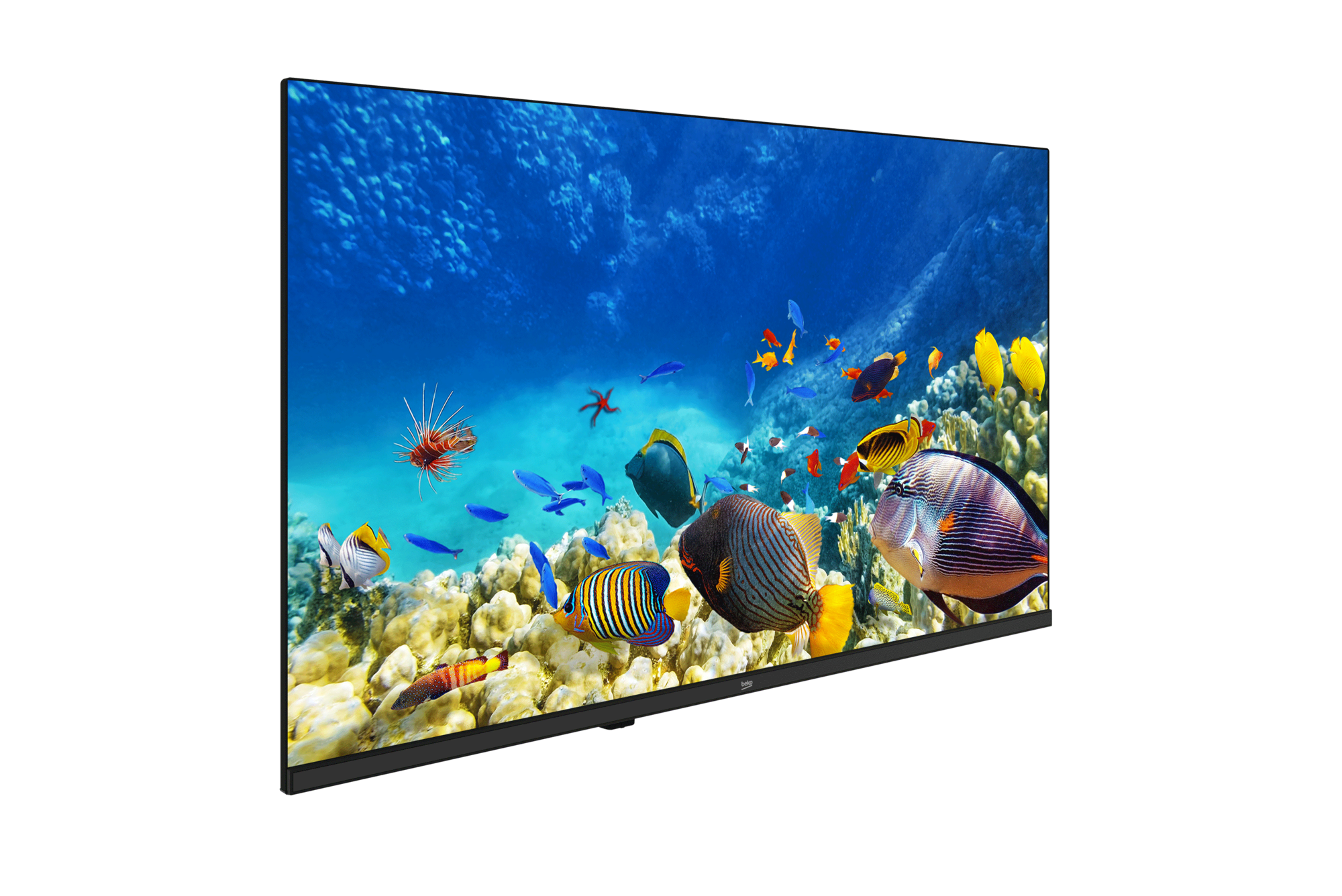 B32K 590G HOTEL TV Full HD& HD TV