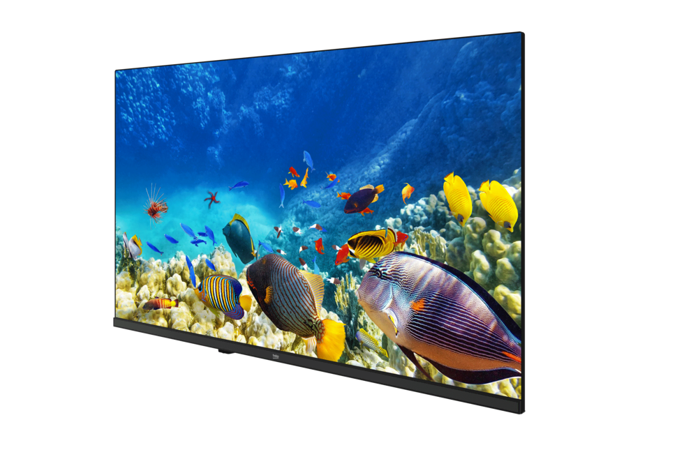 B32K 590G HOTEL TV Full HD& HD TV