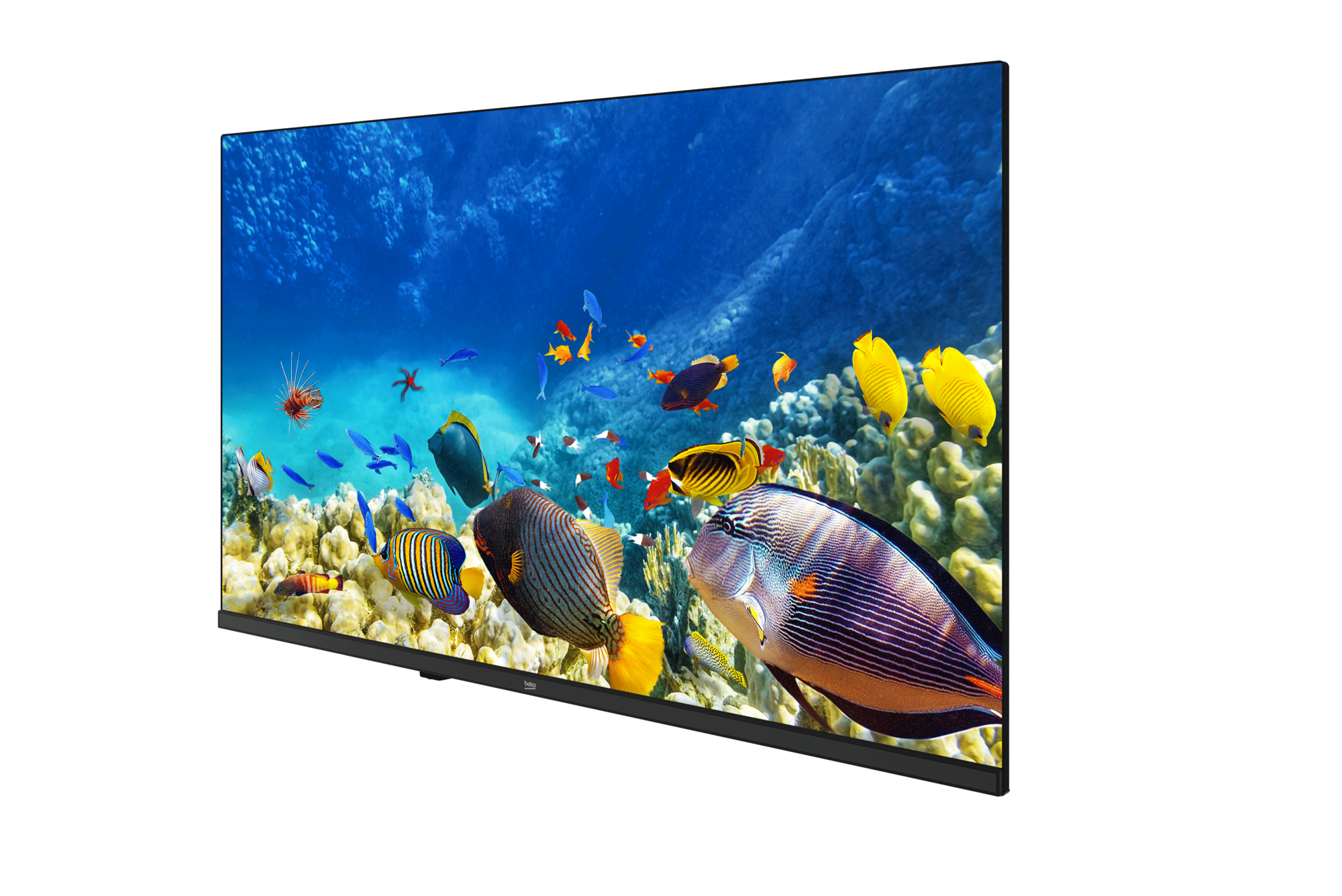 B32K 590G HOTEL TV Full HD& HD TV