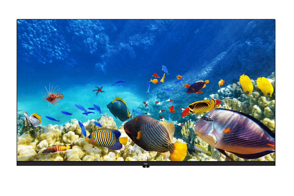 B40K 590G HOTEL TV Full HD& HD TV