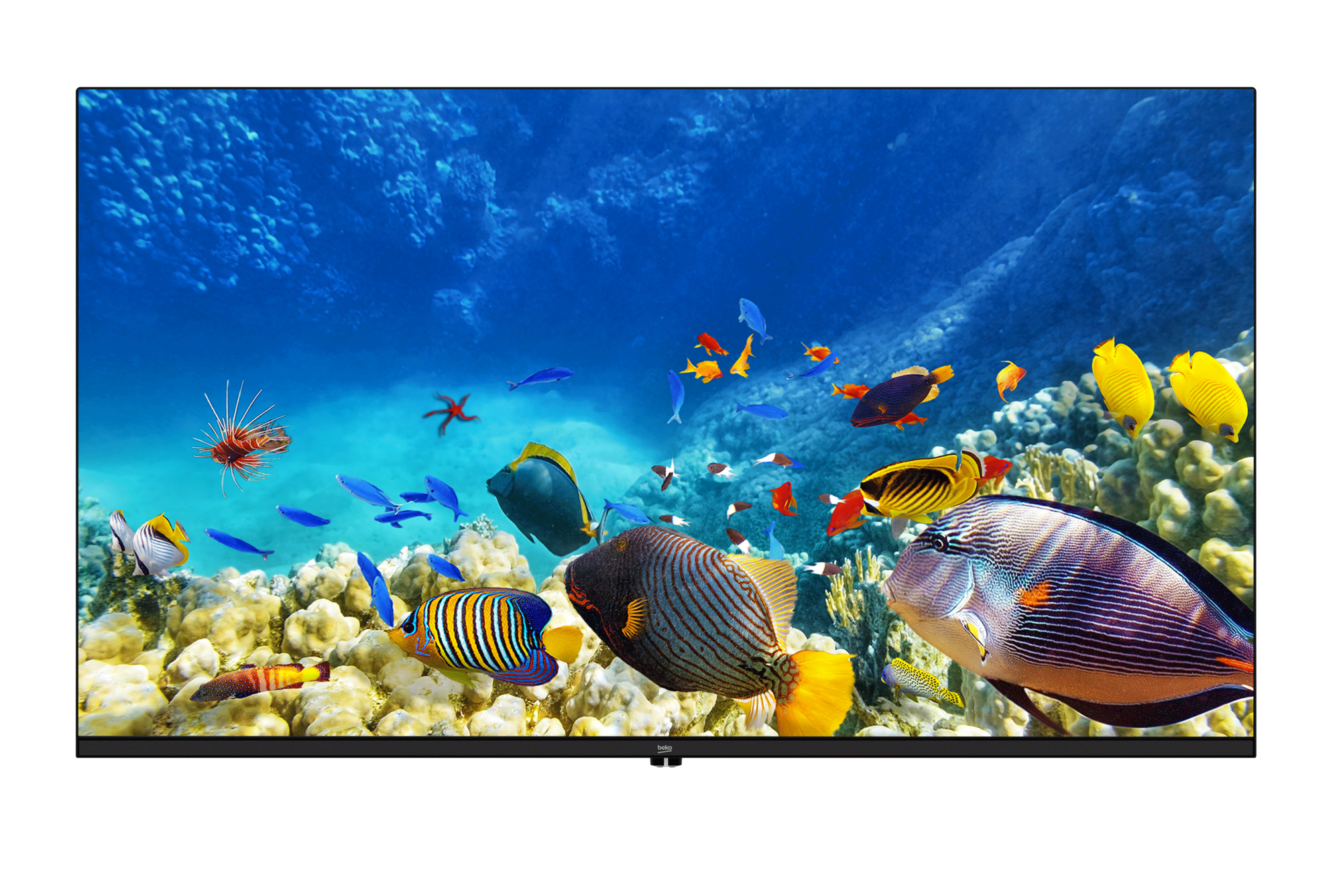 B40K 590G HOTEL TV Full HD& HD TV