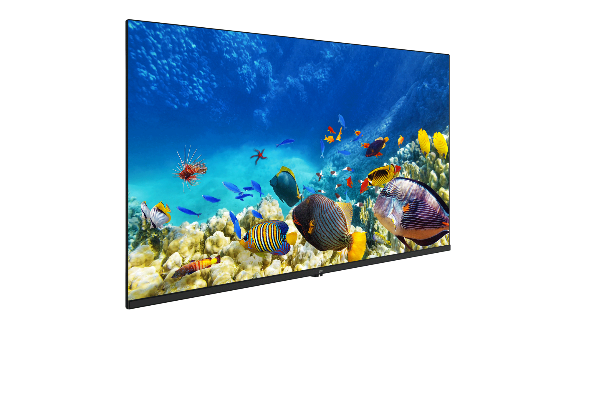 B40K 590G HOTEL TV Full HD& HD TV