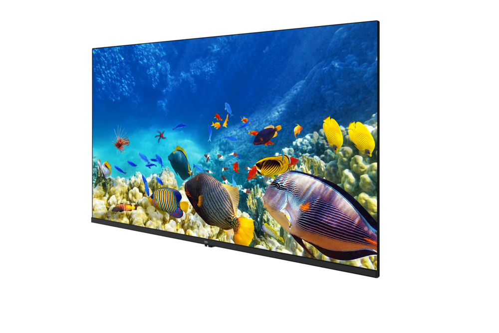 B40K 590G HOTEL TV Full HD& HD TV
