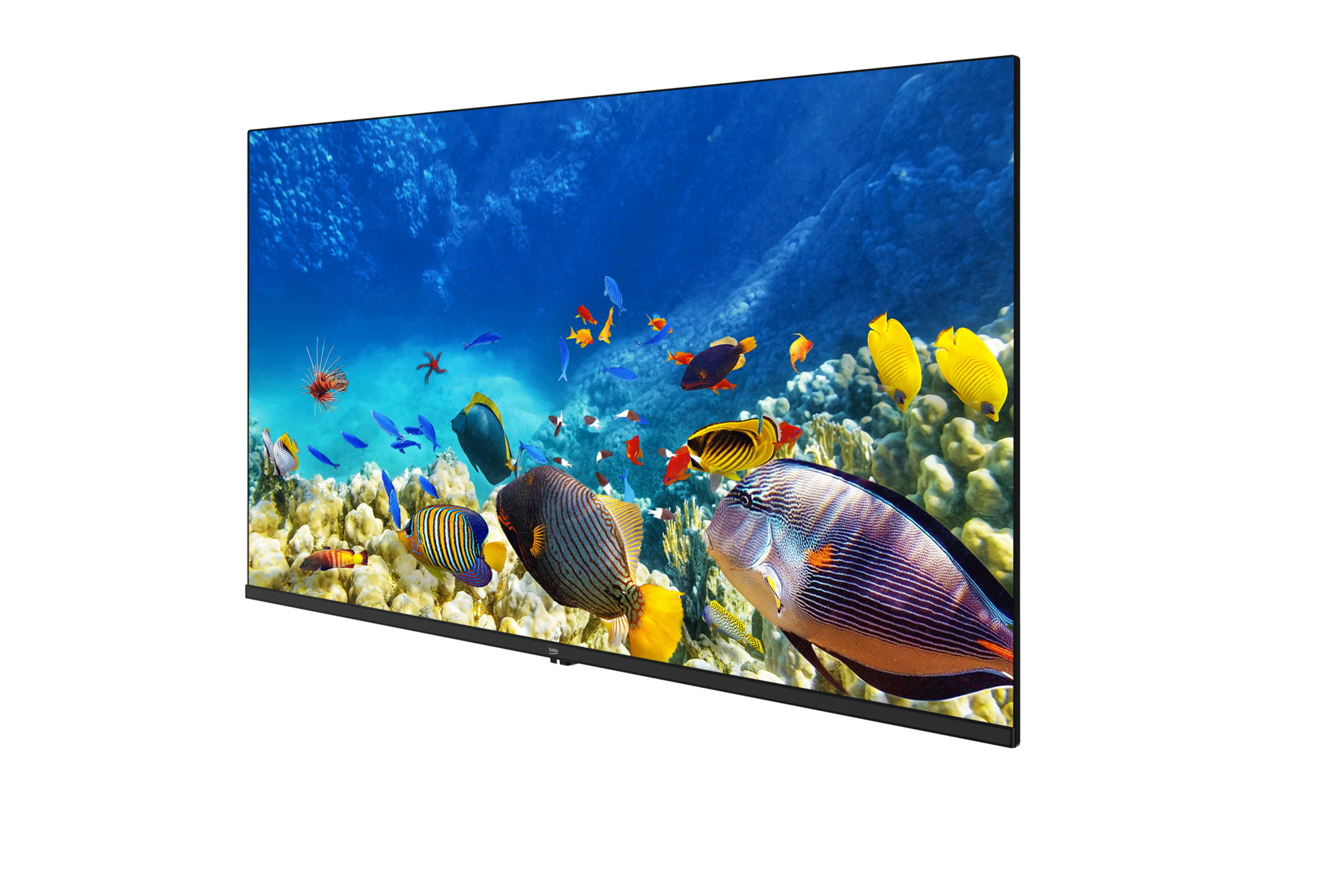 B40K 590G HOTEL TV Full HD& HD TV