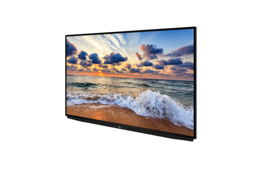 B55K 790G HOTEL TV Hotel Tv