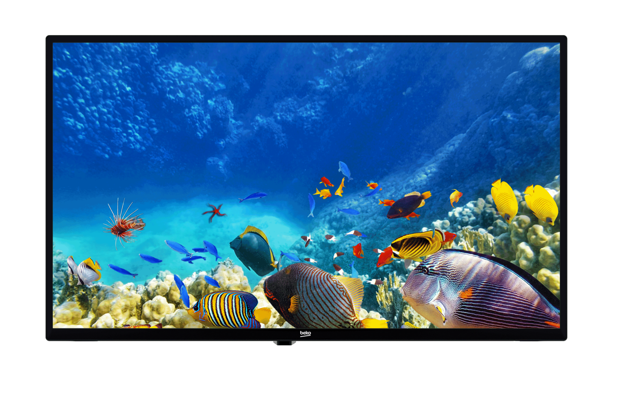 B32K 582 HOTEL TV Full HD& HD TV