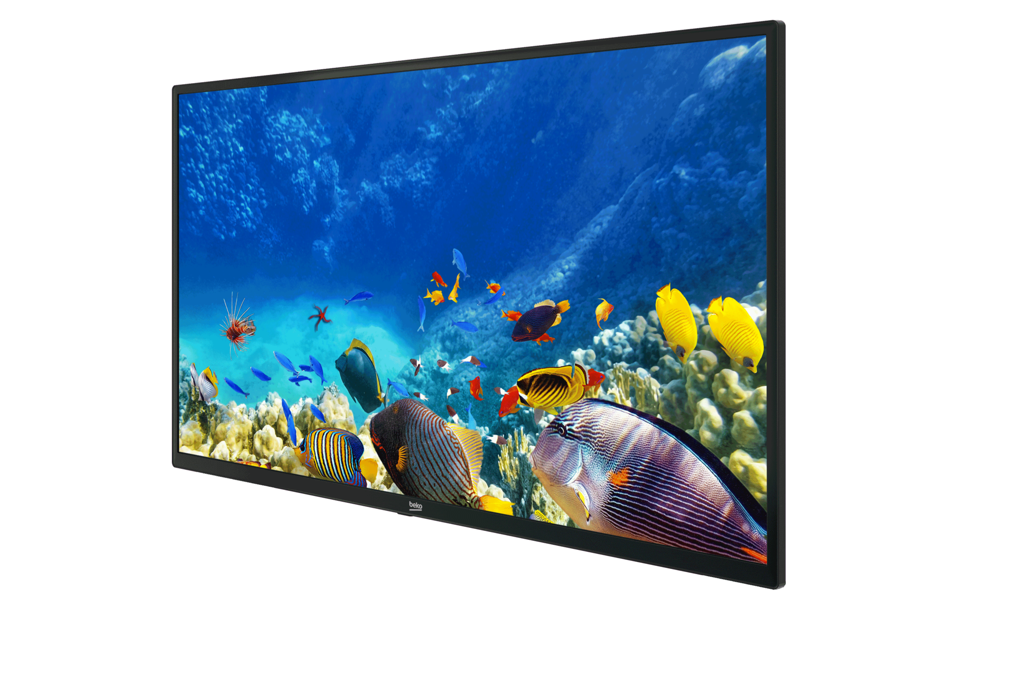 B32K 582 HOTEL TV Full HD& HD TV