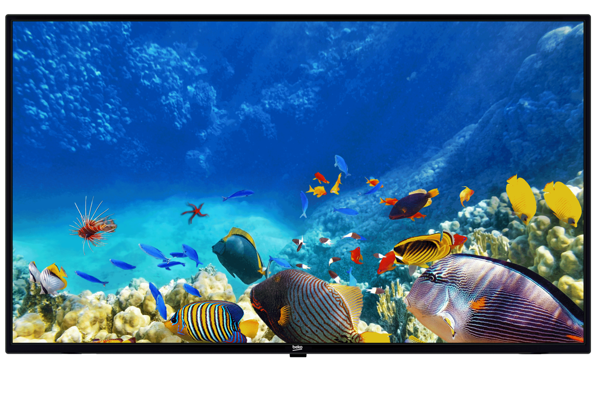 B43K 582 HOTEL TV Full HD & HD TV