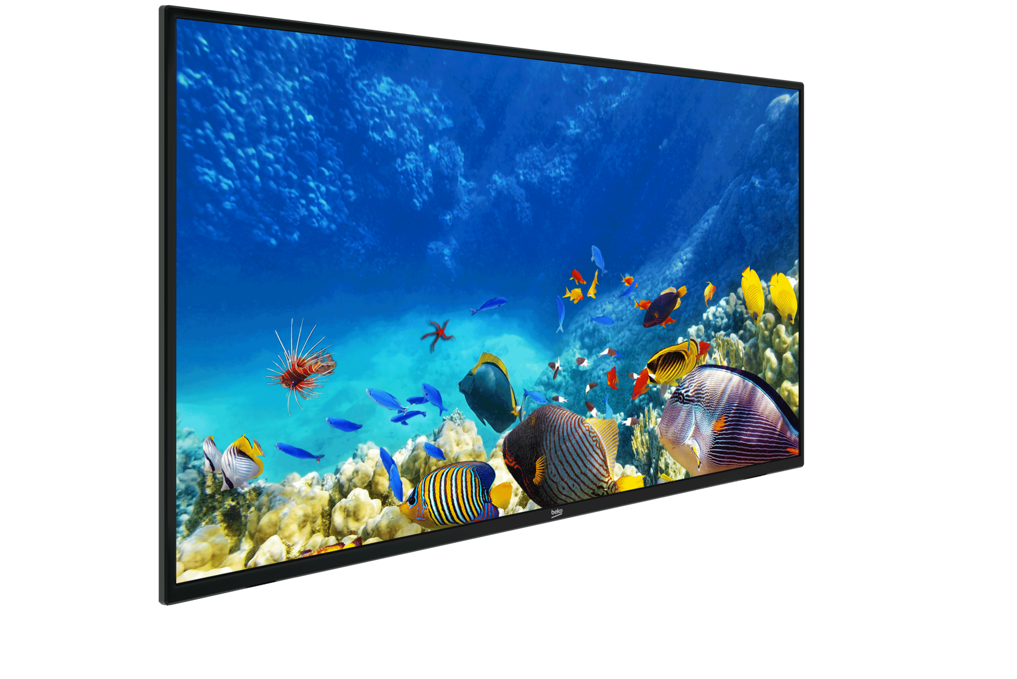 B43K 582 HOTEL TV Full HD & HD TV