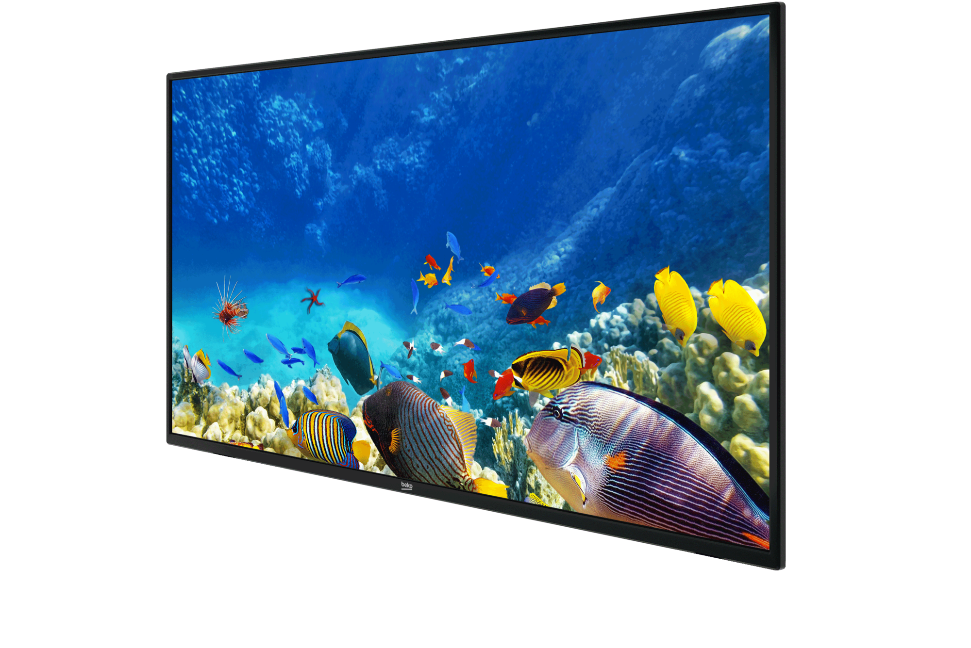 B43K 582 HOTEL TV Full HD & HD TV